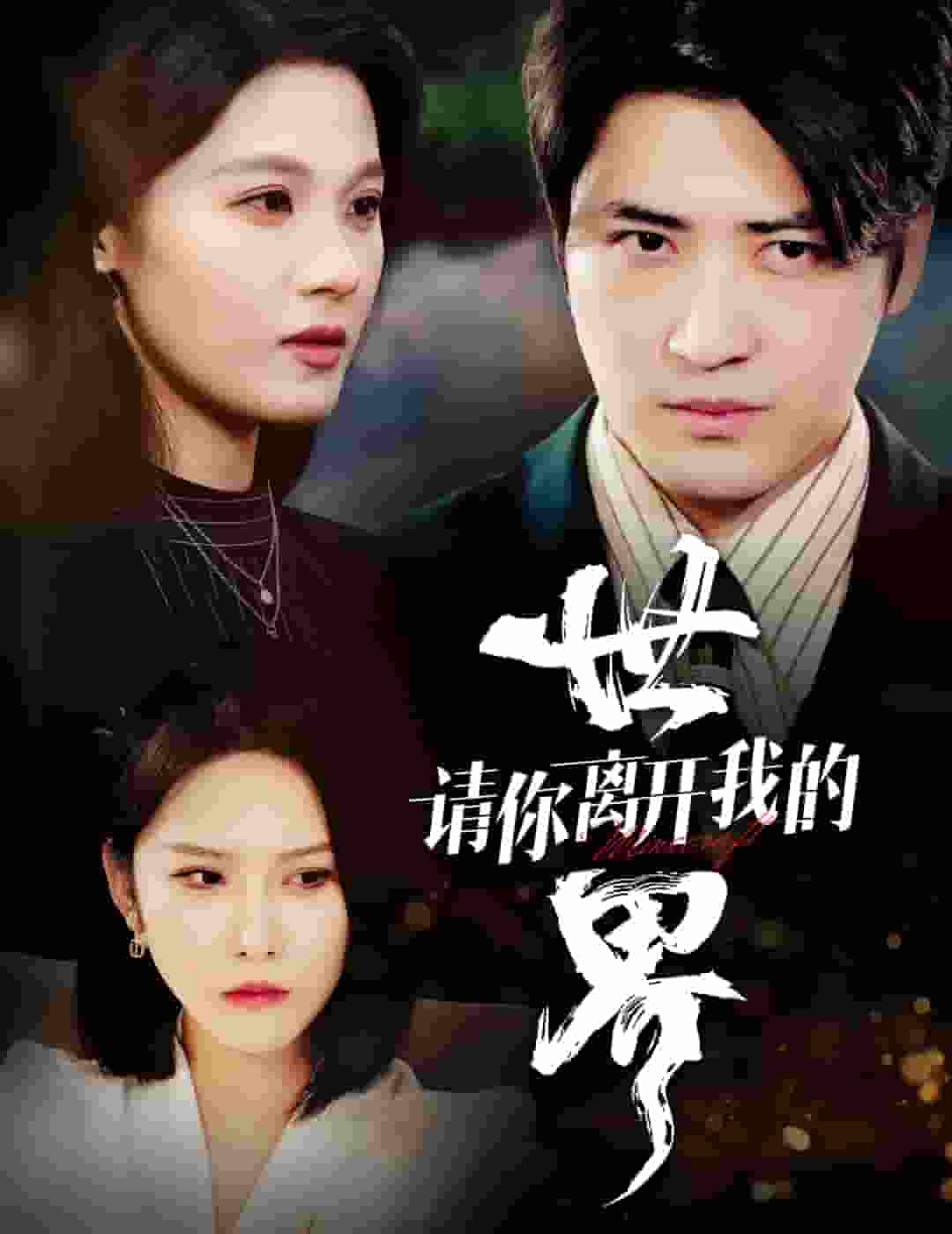 请你离开我的世界第1集